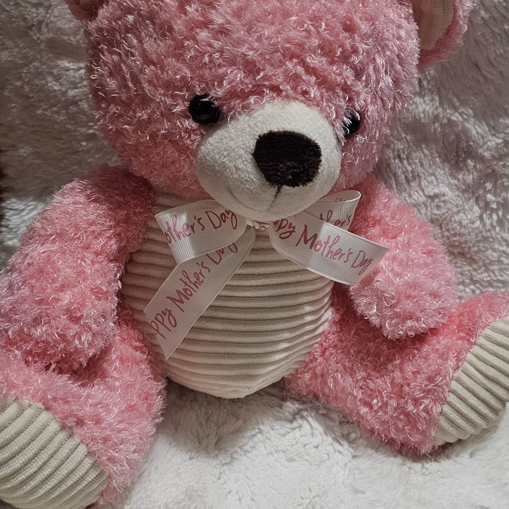 Pink Teddy Bear with Ribbon